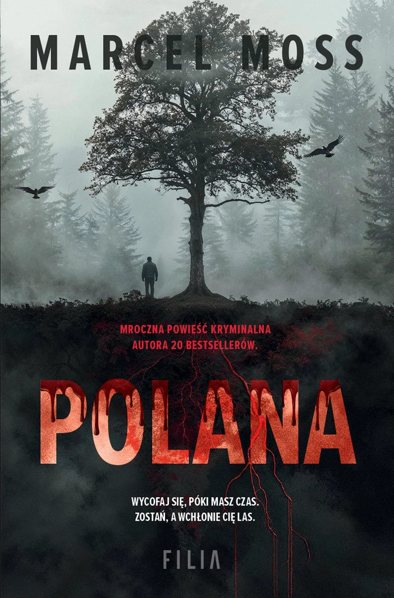 polana-b-iext161055531