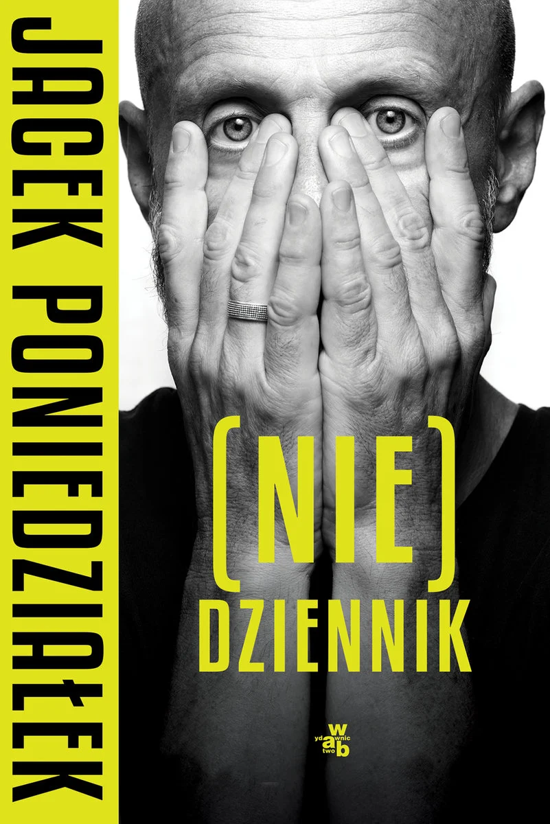 nie-dziennik-audiobook-b-iext68967193