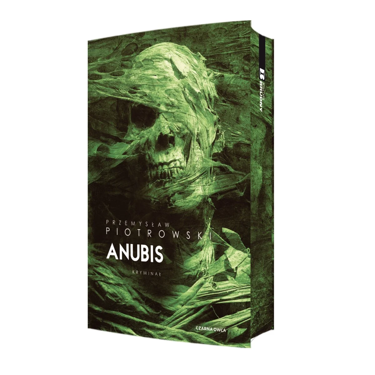anubis-barwione-brzegi-b-iext177084113