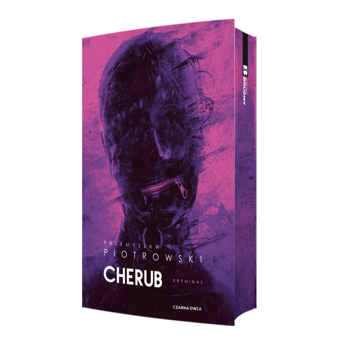 cherub-barwione-brzegi-b-iext177084163