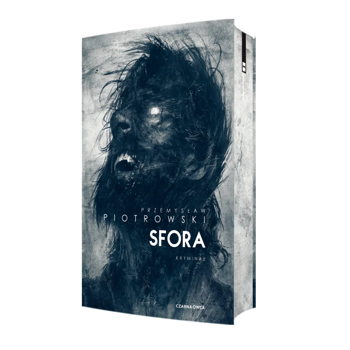 sfora-barwione-brzegi-b-iext177495603