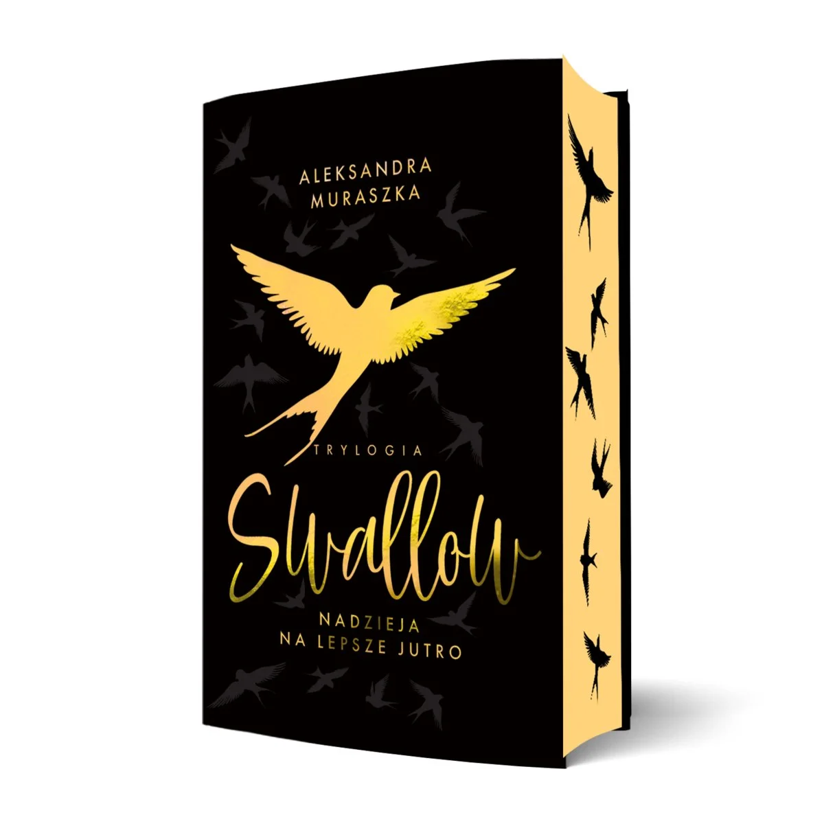 nadzieja-na-lepsze-jutro-swallow-tom-3-barwione-brzegi-b-iext185245422