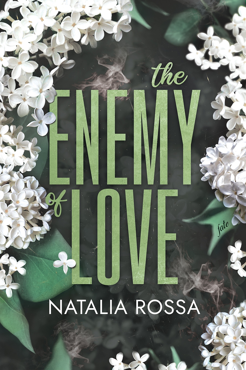 The-Enemy-of-Love-Natalia-Rossa