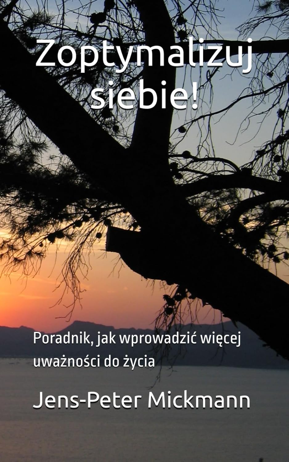 zoptymalizuj siebie