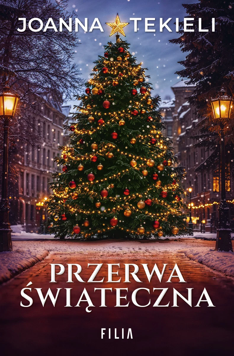 przerwa-swiateczna-b-iext177049364