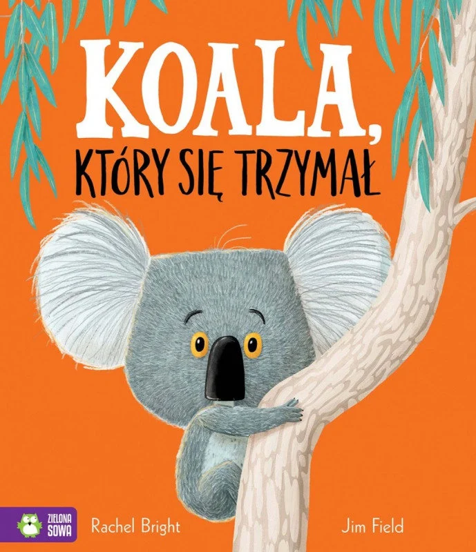 koala-ktory-sie-trzymal-b-iext194478768