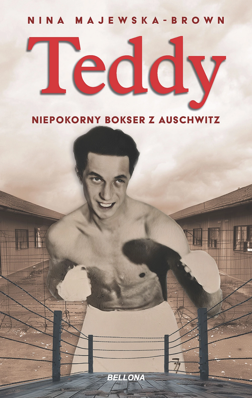 teddy-niepokorny-bokser