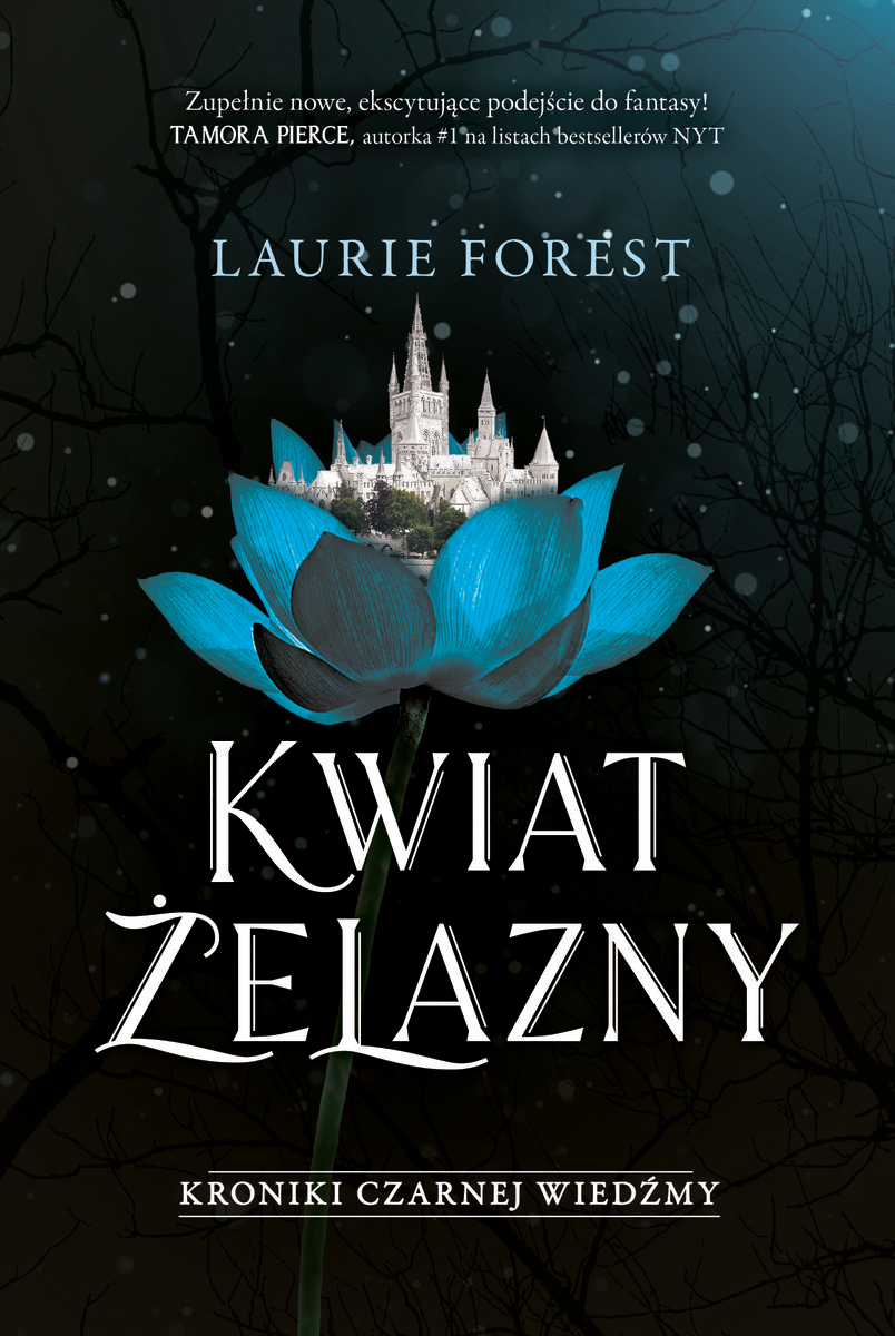 kwiat-zelazny-kroniki-czarnej-wiedzmy-tom-2-b-iext201832175