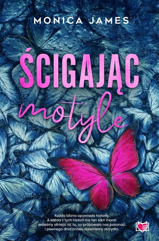 scigajac-motyle-b-iext196070097