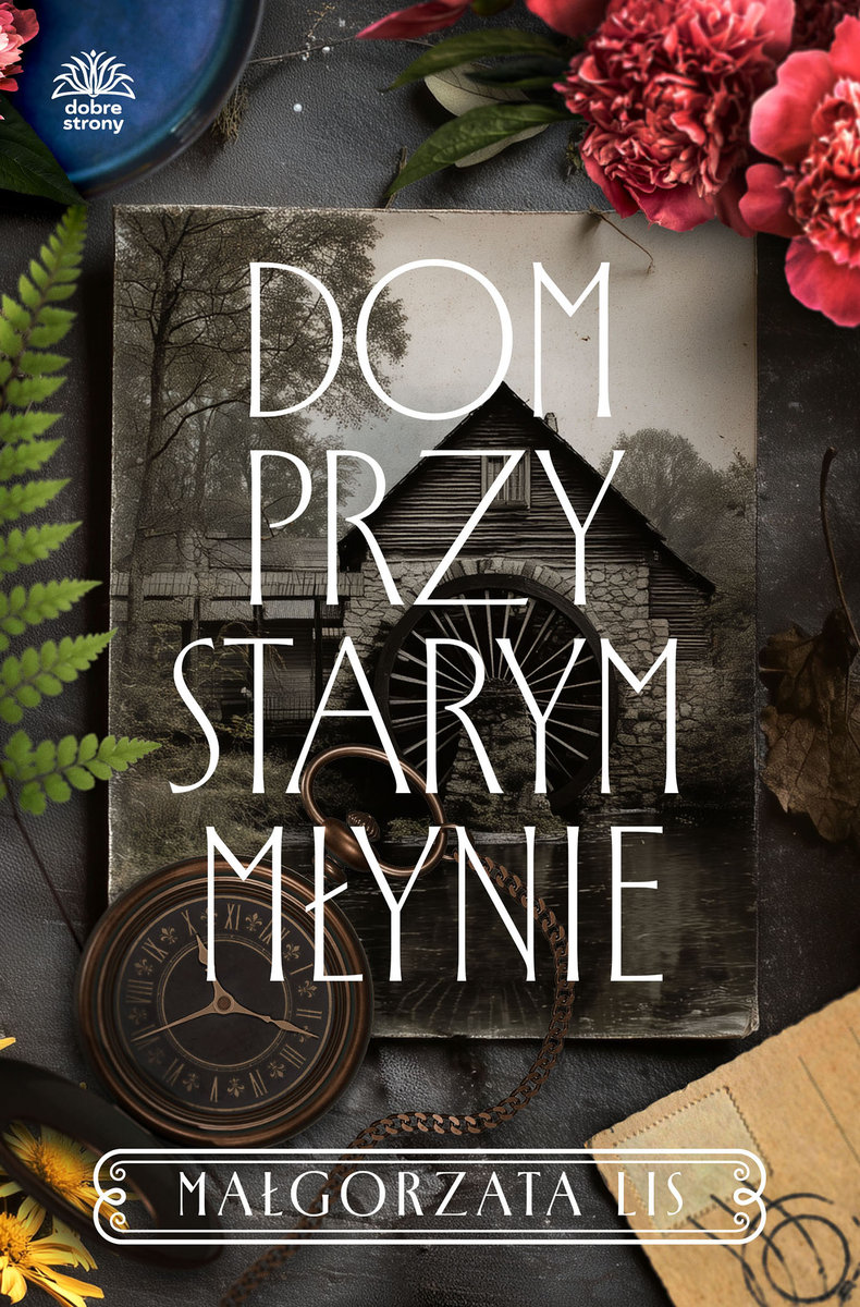 dom-przy-starym-mlynie-b-iext219053252