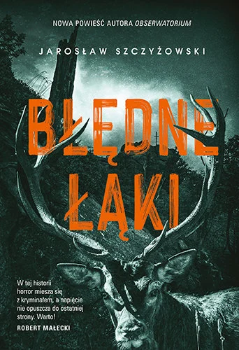bledne-laki-b-iext183496726